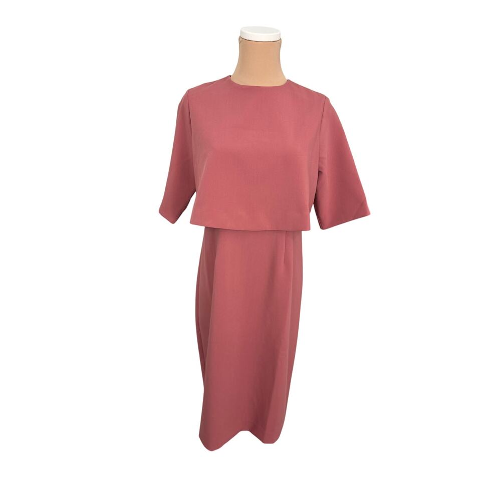 NWT Ann Taylor Rose Long Sleeve Dress 4p